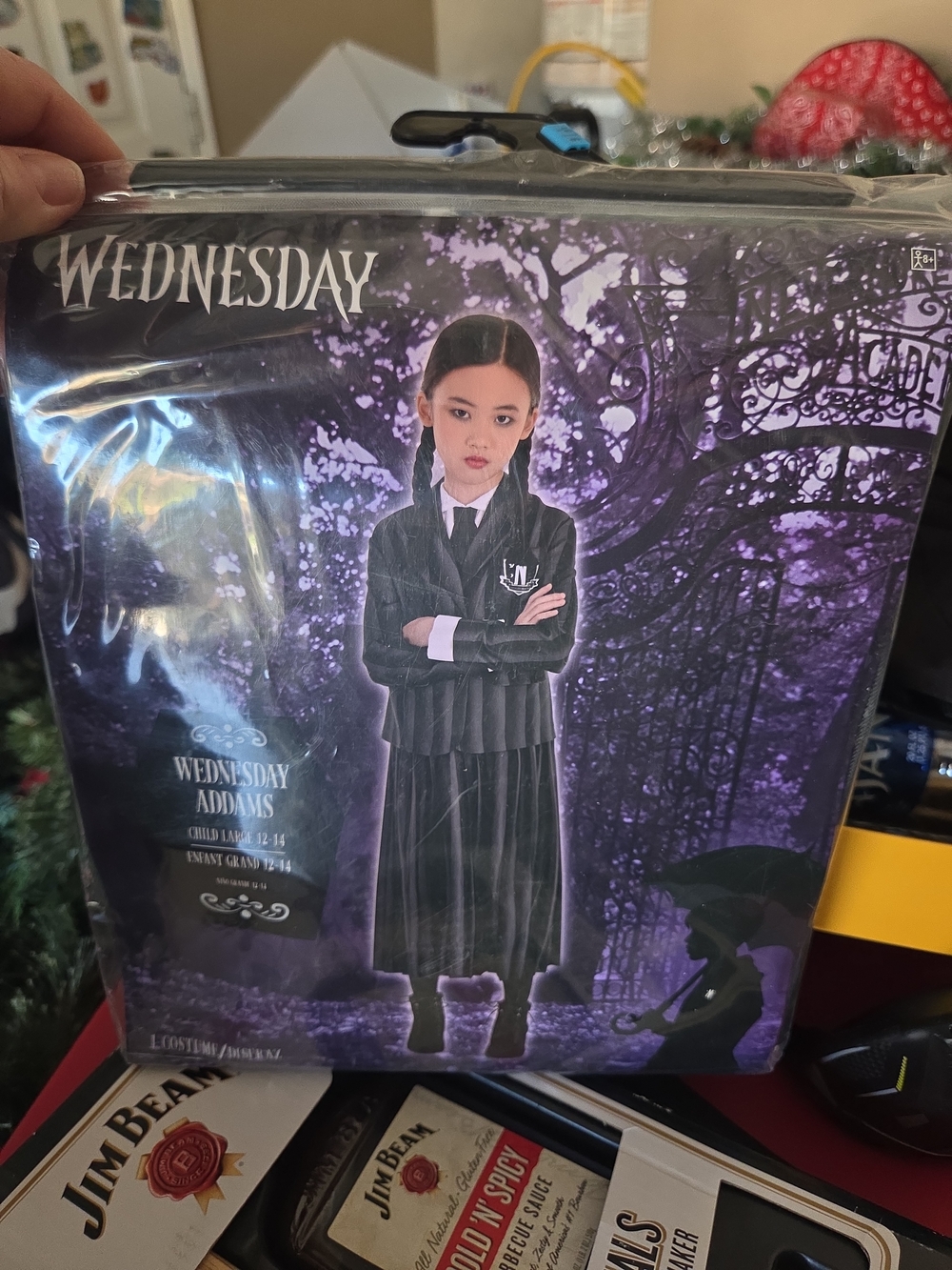 Wednesday Addams Child Costume